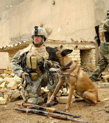 Un perro salva a un militar y su reacción al volver a verse deja a todos sin palabras