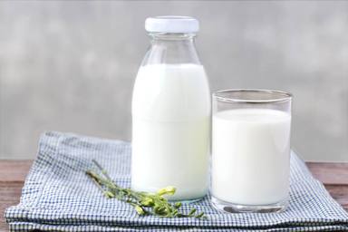 ¿Qué cantidad de leche debemos tomar en el día a día?