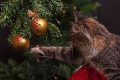 Tres pasos indispensables que debes seguir a rajatabla antes de guardar tu árbol de Navidad