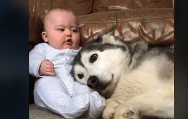 Un perro y un bebé emocionan a las redes con esta bonita relación