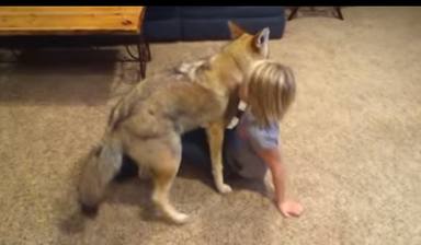 Un padre regala un perrito a su hija pequeña y al descubrir su procedencia se quedan en shock