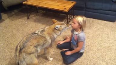 Un padre regala un perrito a su hija pequeña y al descubrir su procedencia se quedan en shock