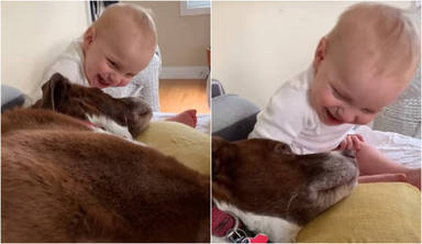 Un bebé se parte de risa al jugar con su perro y de pronto todo da un giro dramático