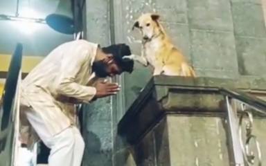 Un perrito callejero espera cada día en la puerta de una iglesia y su reacción deja a los vecinos sin palabras