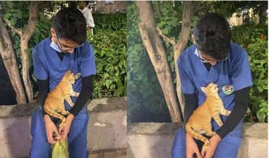 Un gatito se sube encima de un enfermero que estaba descansando y su reacción se hace viral