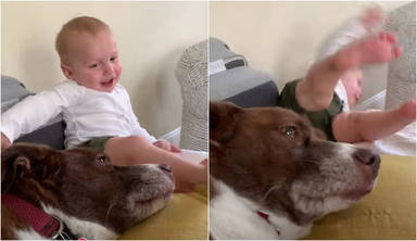 Un bebé se parte de risa al jugar con su perro y de pronto todo da un giro dramático